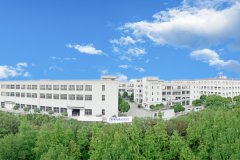 攜手同心、行而不輟，奔赴美好的2024
